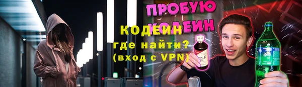 хмурый Каменногорск