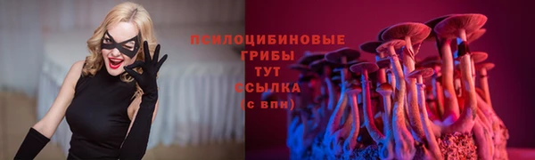 СК Зерноград