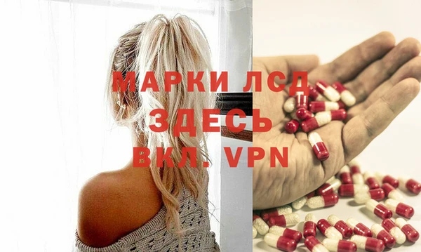 СК Зерноград