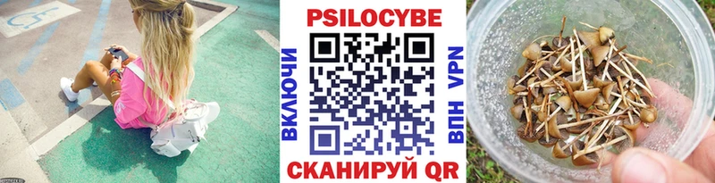 Псилоцибиновые грибы GOLDEN TEACHER  Колпашево 
