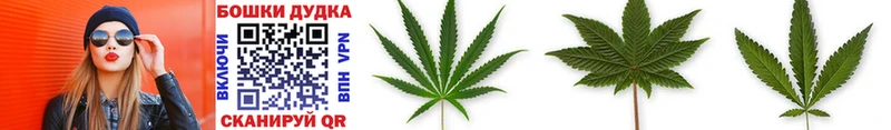 Канабис OG Kush  Колпашево 